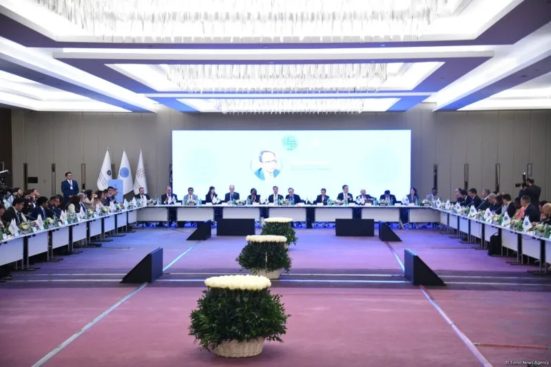 Bakıda Qlobal Cənub QHT Platforması təsis olunub