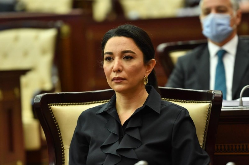 Azərbaycanda fikir, söz və mətbuat azadlığı inkişaf edib - Səbinə Əliyeva