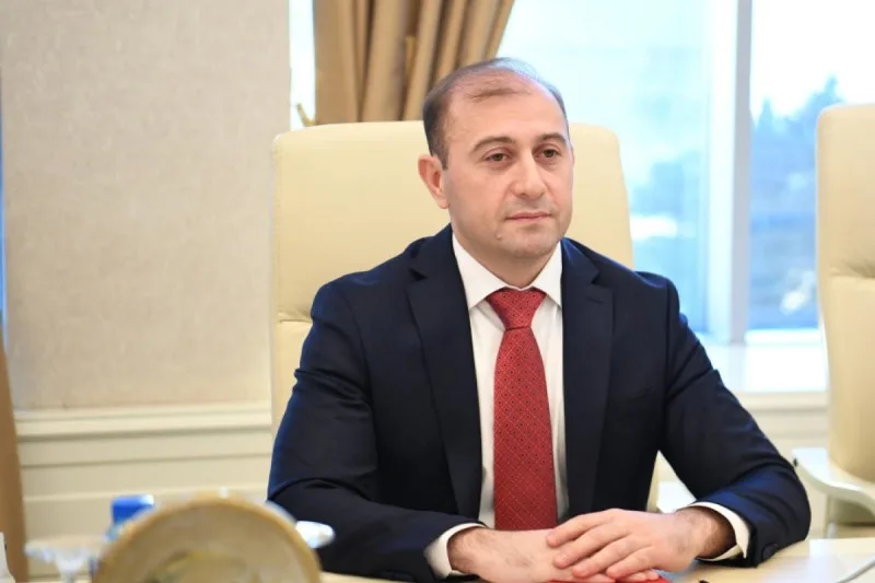 Fevralın 20-dəki kiberhücumların arxasında APT29 dayanır - Ramid Namazov