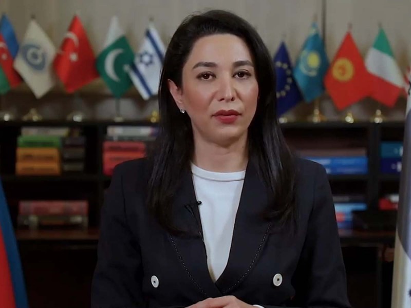 “İnsan hüquqları cəmiyyətin inkişafında təməl prinsiplərindən biridir” - Ombudsman