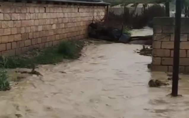 Hacıqabulda kəndlərə sel gəldi, evləri su basdı - VİDEO