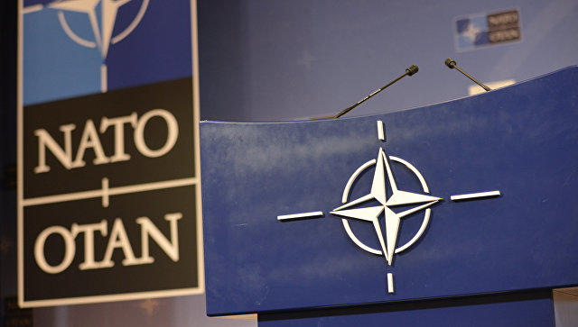 NATO-Gürcüstan təlimi 2025 başa çatdı