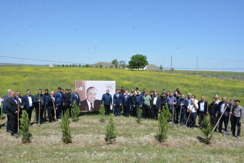 Tərtərdə ağacəkmə aksiyası keçirilib - FOTOLAR