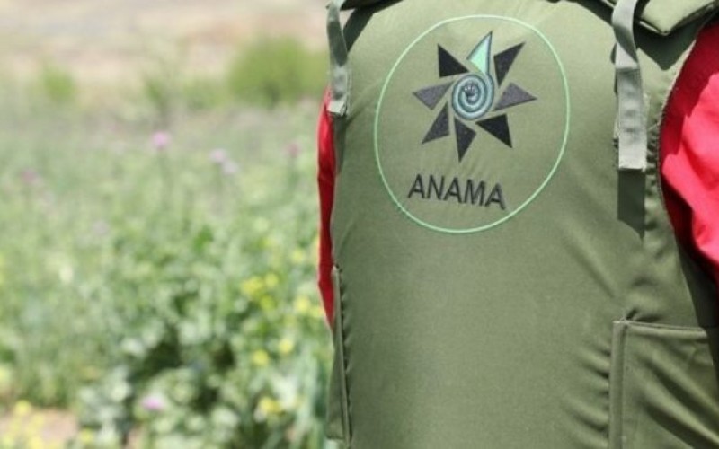 ANAMA-nın rəhbər şəxsi işdən AZAD EDİLDİ