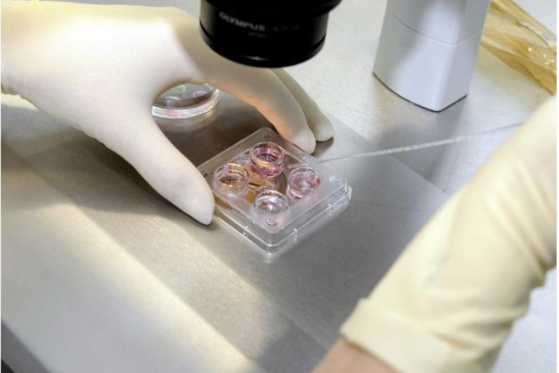 Qanunsuz süni mayalanma və tibbi sterilizasiyaya görə cəzalar sərtləşdirilir