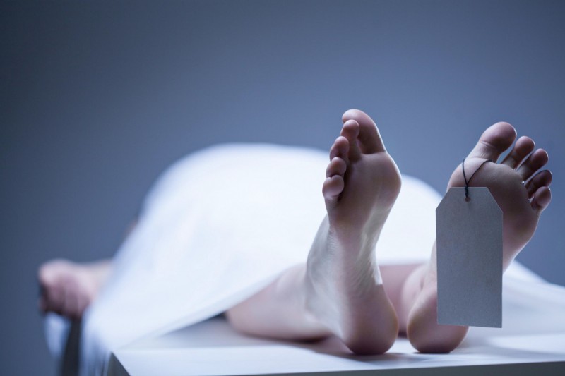 63 yaşlı kişi ağacdan yıxılaraq öldü