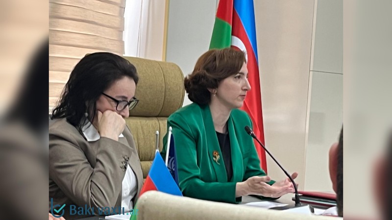 Gənclərdə fərdiyyətçilik meyli artır – STM rəsmisi