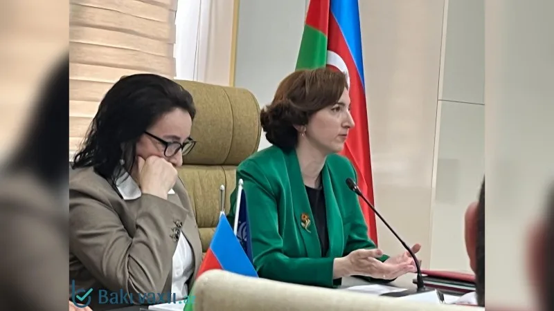 Gənclərdə fərdiyyətçilik meyli artır – STM rəsmisi