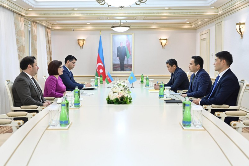 Sahibə Qafarova Qazaxıstanın Azərbaycandakı səfiri ilə görüşüb