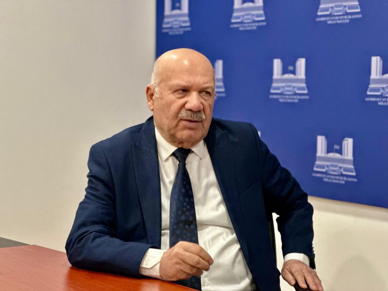 Səyyad Aran: Plastik cərrahlar üçün vahid mərkəz yaradılsın