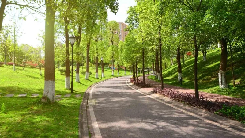 Azərbaycanda yeni park salınır