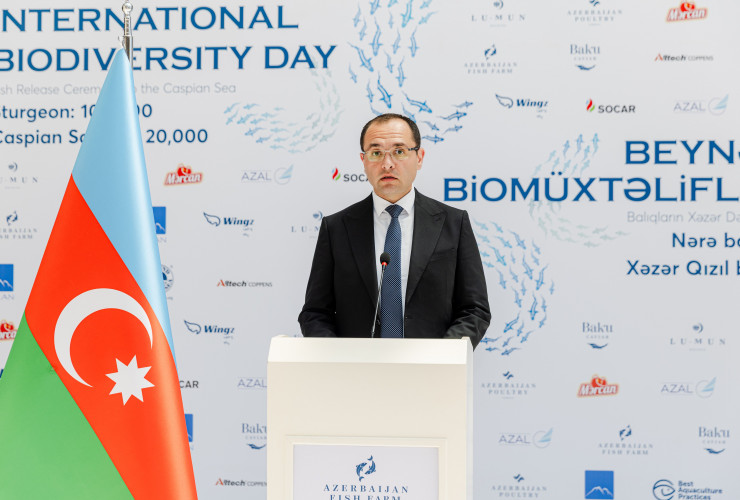 Məcnun Məmmədov koronavirusdan sağalıb