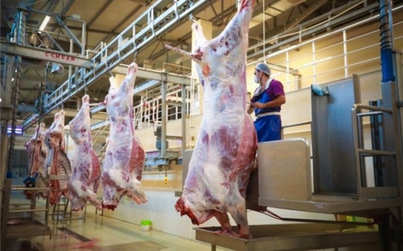 Qurbanlıq heyvanların satışı və kəsimi bu ünvanlarda həyata keçiriləcək