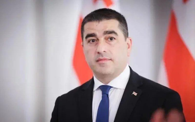 Papuaşvili: Baltikyanı ölkələr artıq açıq şəkildə gürcü xalqına qarşı çıxış edirlər