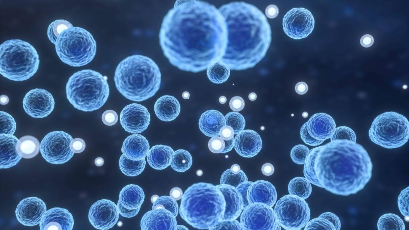 Strep A bakteriyası sürətlə yayılır: 9 məktəb bağlandı