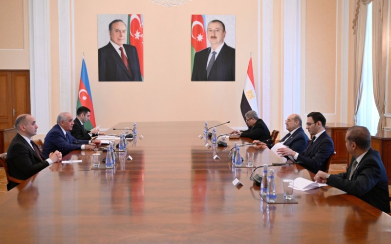 Əli Əsədov Misir Senatının sədri ilə görüşdü