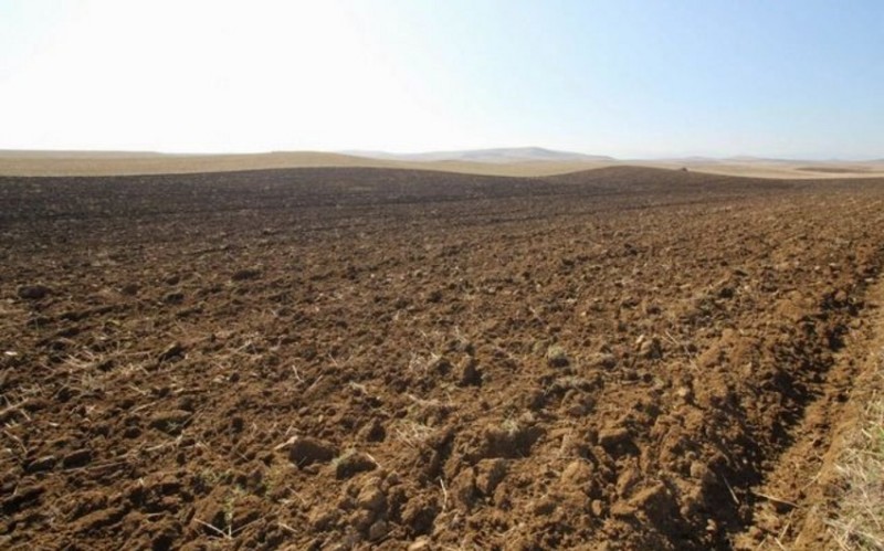 Azərbaycanda növbəti torpaq hərracları elan edilib