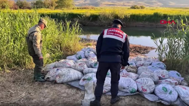 22 ton 475 kiloqram inci kefalı qanunsuz ovlandı