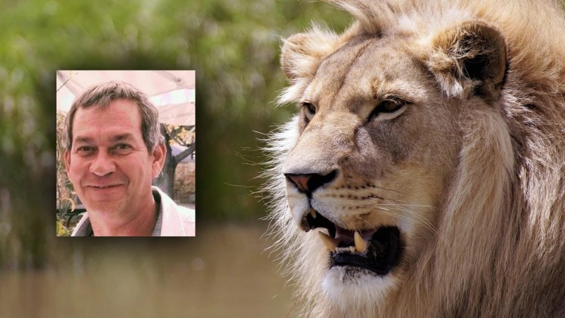 Safaridə iş adamını şir PARÇALADI