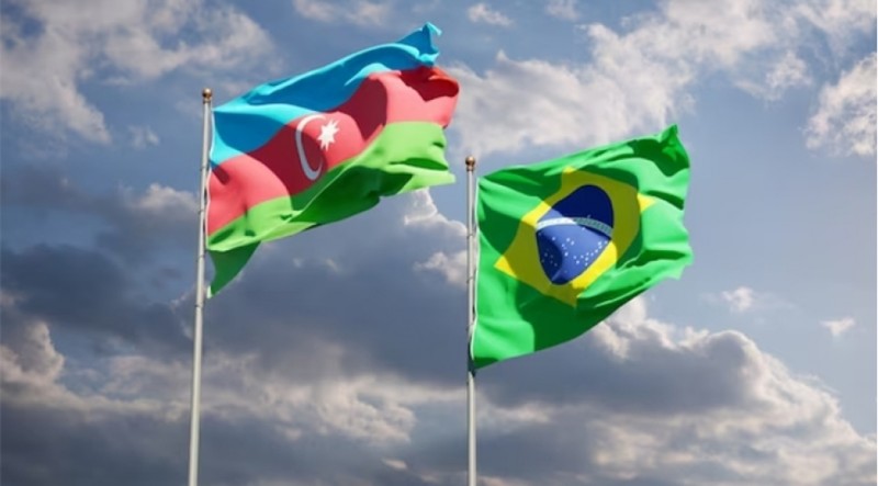 Azərbaycan və Braziliya iqlim dəyişikliyi ilə mübarizə üçün proqram hazırlayır