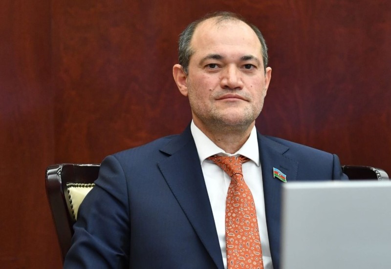 Razi Nurullayev: Vyanada Azərbaycanın mövqeyini bir daha çatdırdıq