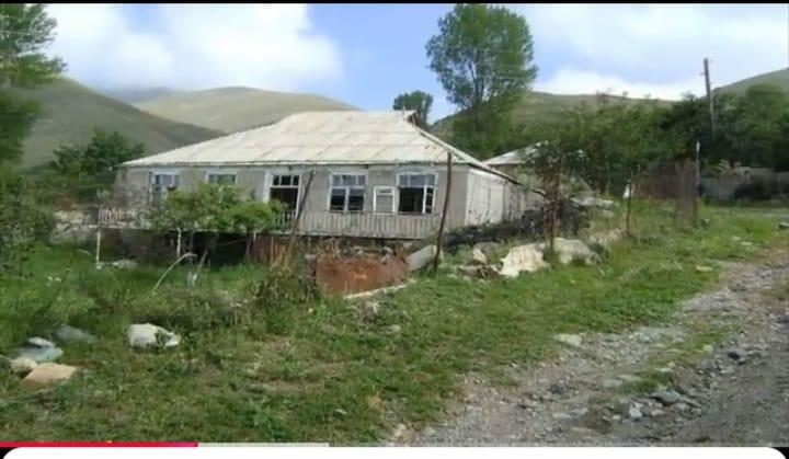 Adını bitki adından götürən kənd: Ardıcın tarixinə dair maraqlı məlumatlar 