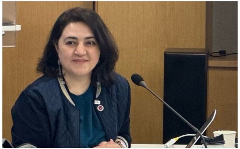 Aynurə İsmayılova direktor təyin olundu