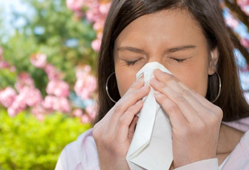 SN-nin canlısında mövsümi allergiyalardan danışılacaq