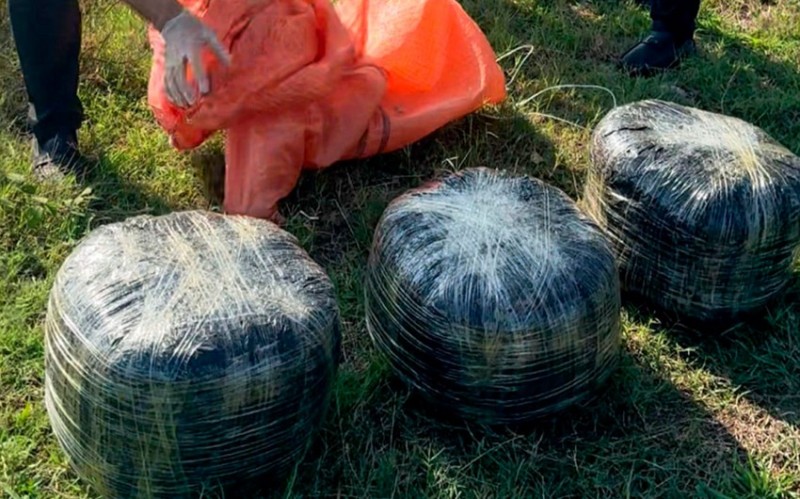 Lənkəranda 18 kiloqram narkotik aşkarlanıb