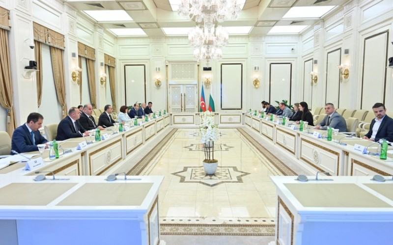 Sahibə Qafarova Bolqarıstan Respublikası Milli Assambleyasının sədri ilə görüşüb