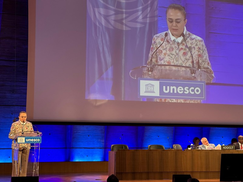 Mədəniyyət Nazirliyinin nümayəndəri UNESCO-nun tədbirində - FOTOLAR