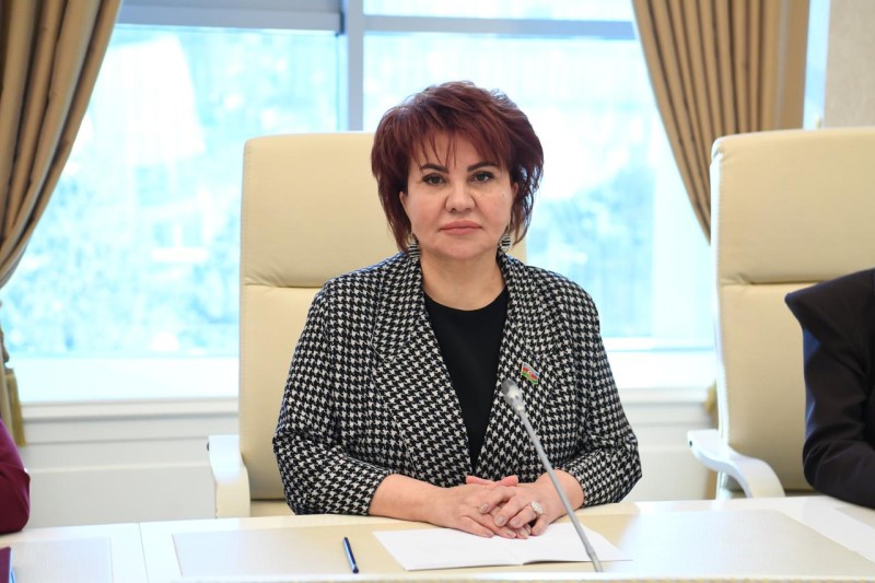 Altı universitetimizin TOP1000-ə daxil olması əlamətdar hadisədir – Deputat
