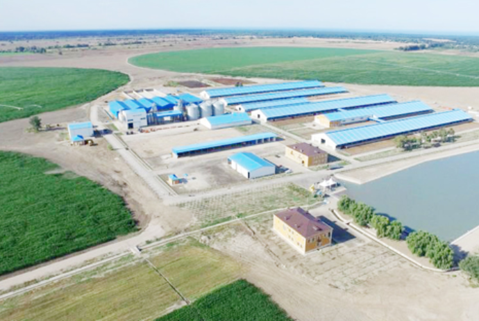 Yevlaxdakı yeni pilot aqroparkda “ağıllı” idarəetmə sistemi tətbiq olunur