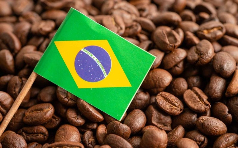 Braziliya qəhvə tədarükünü kəskin şəkildə azaldıb