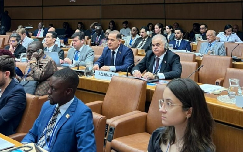 Deputatlar Qlobal Görüş üçün Vyanada