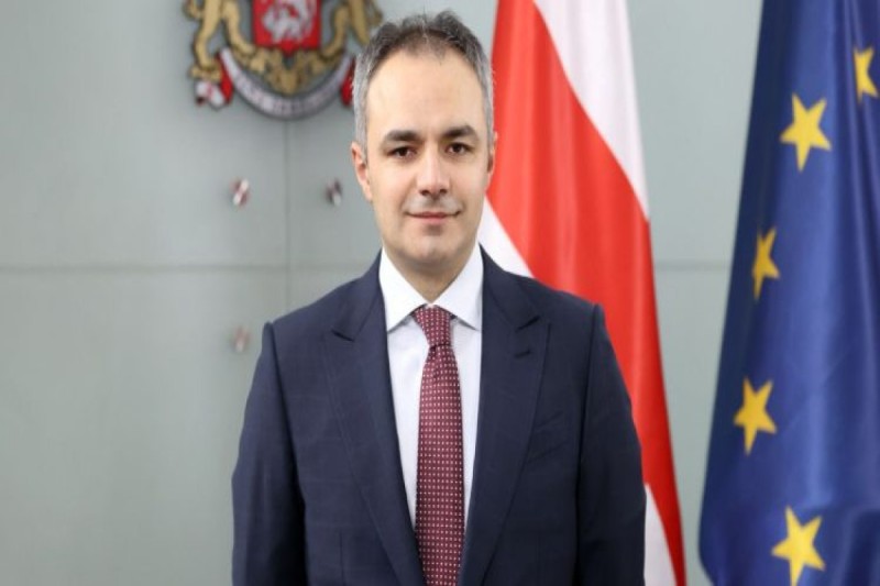 Gürcüstanda daha bir nazir istefası