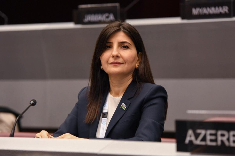 Sevil Mikayılova: Saxta məlumatların yayımına qarşı mübarizə günün tələbidir