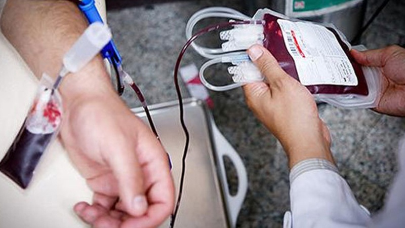 Direktor: Saat 10:00-a qədər 400-ə yaxın donor qan verib