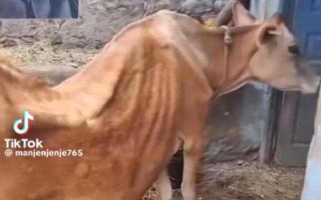 Azərbaycanda çəkildiyi iddia edilən fotolarla bağlı rəsmi açıqlama - FOTO