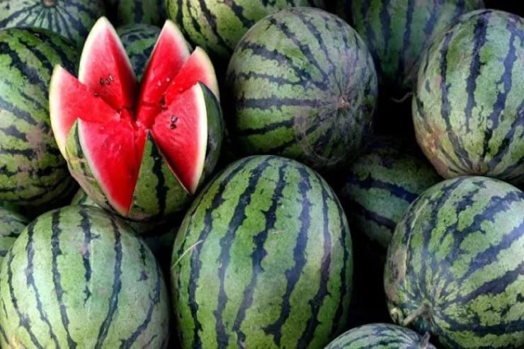 Qarpızlara bu dərmanlar vurulur, xərçəngə yoluxma riski var - XƏBƏRDARLIQ