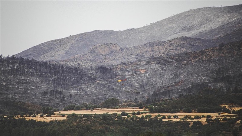 Kataloniyada meşə yanğınları - yaralılar var
