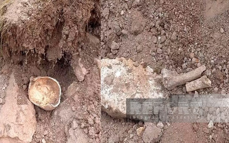 Laçında insan skeletinin qalıqları TAPILDI