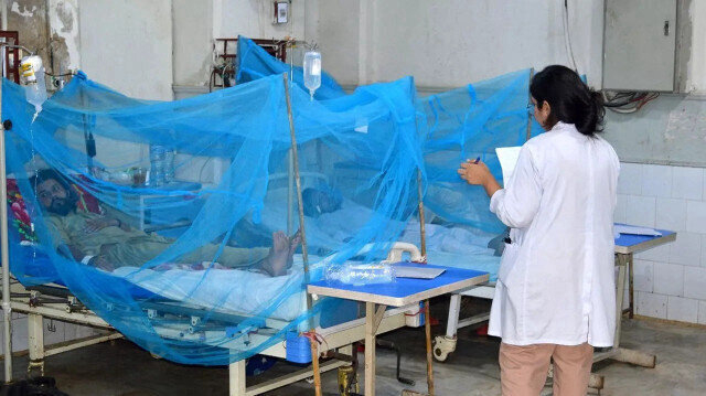 Təhlükəli virus qapıda - Artıq Qərbi Azərbaycanda...