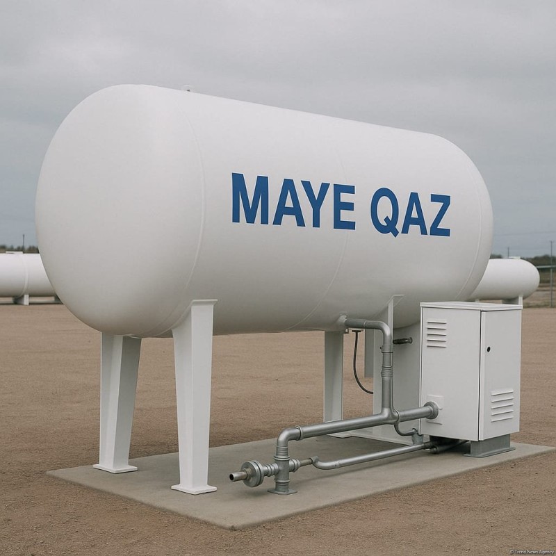 Maye qazların istehsalı 20%-dən çox artırıb