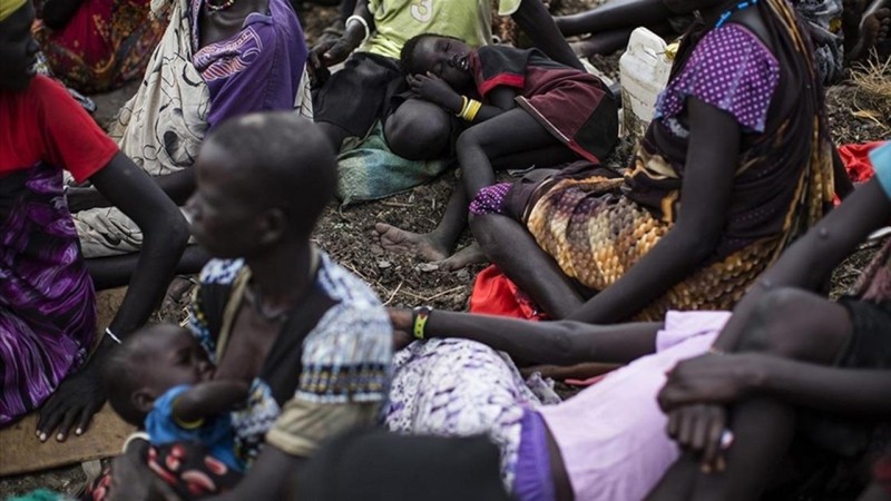 Nigeriyada 161 milyon insan qida çatışmazlığı ilə üzləşib