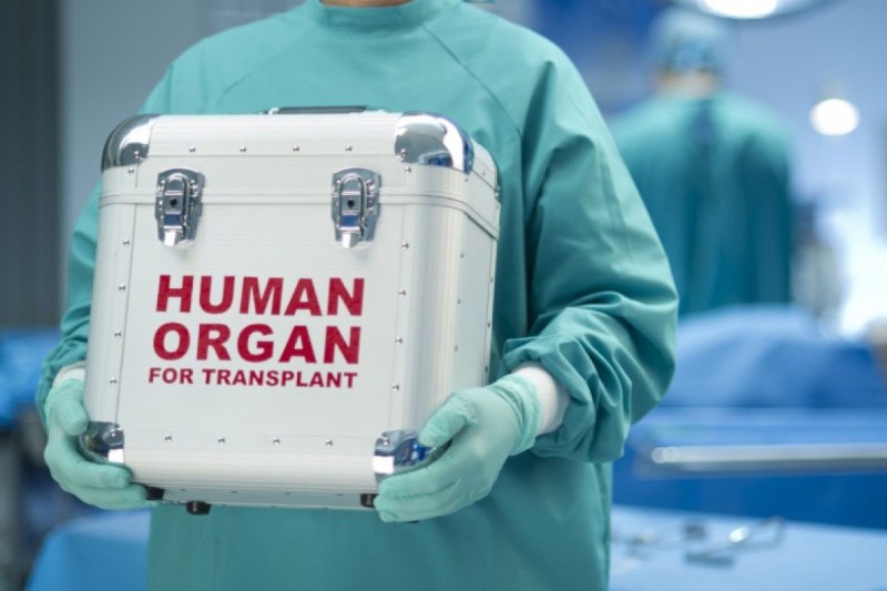Azərbaycanda orqan transplantasiyası gözləyənlərin sayı açıqlandı