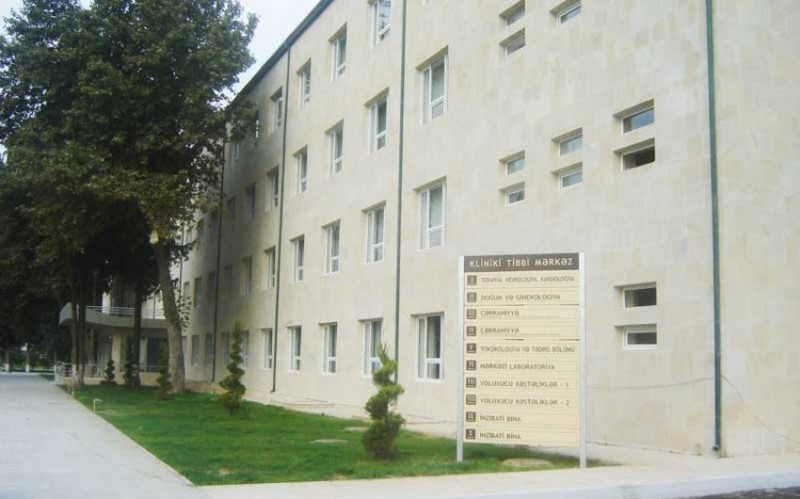 Arı sancan qadın bir ay komada qalıb