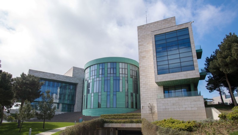 İlk dəfə ADA Universitetində açılacaq dövlət sifarişli yerlərin sayı açıqlanıb