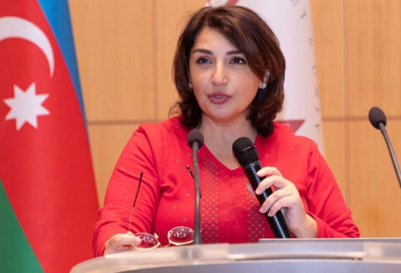 Şəfəq Mehrəliyeva: İnformasiya mühitində sağlam tənqid bacarığı zəifdir