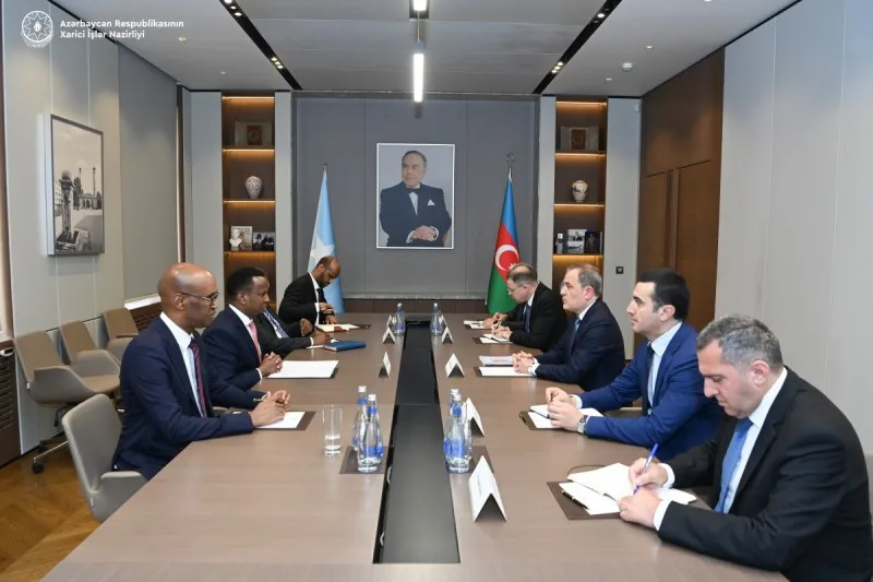Azərbaycan və Somali XİN başçıları geniştərkibli görüş keçiriblər - YENİLƏNİB